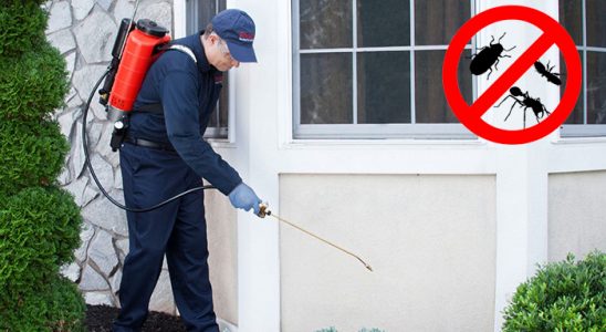 Tarsus Dezenfeksiyon böcek ilaçlama ve haşere kontrolü — ilaclama-tr.com